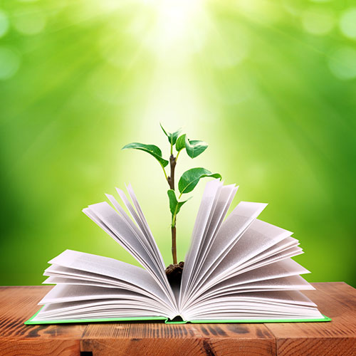 Open book with plant coming out of it